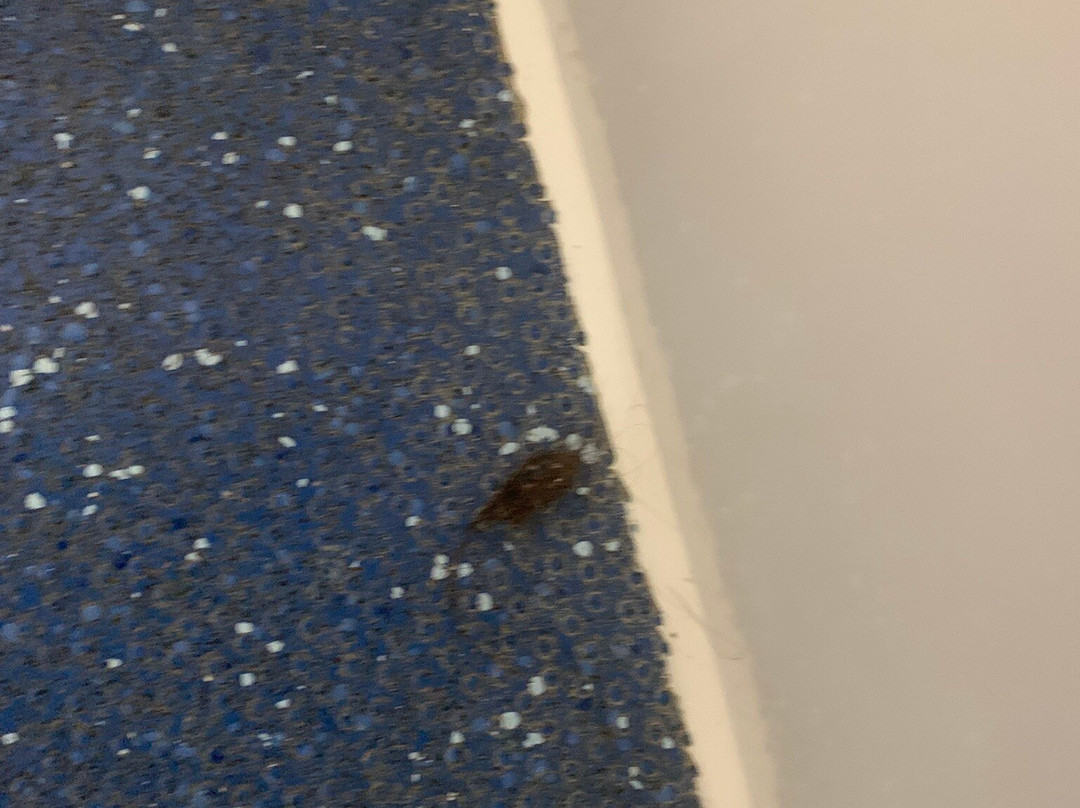 Travelodge Newcastle Gosforth主图