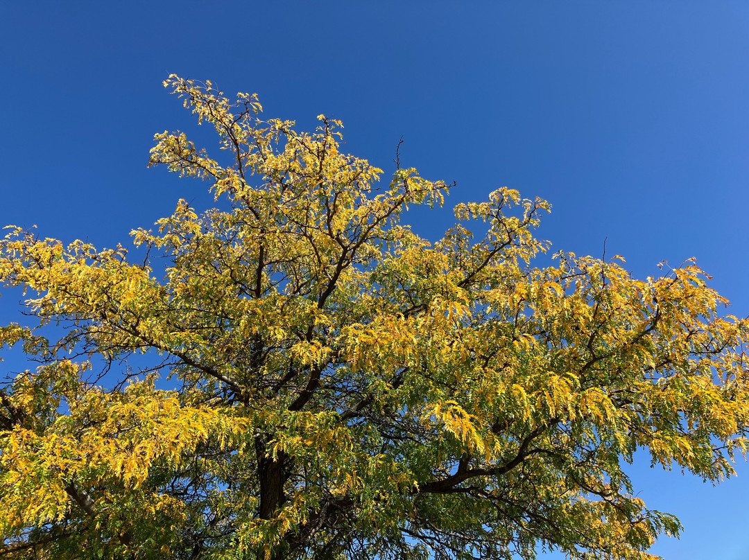 底特律河滨-底特律必去景点
