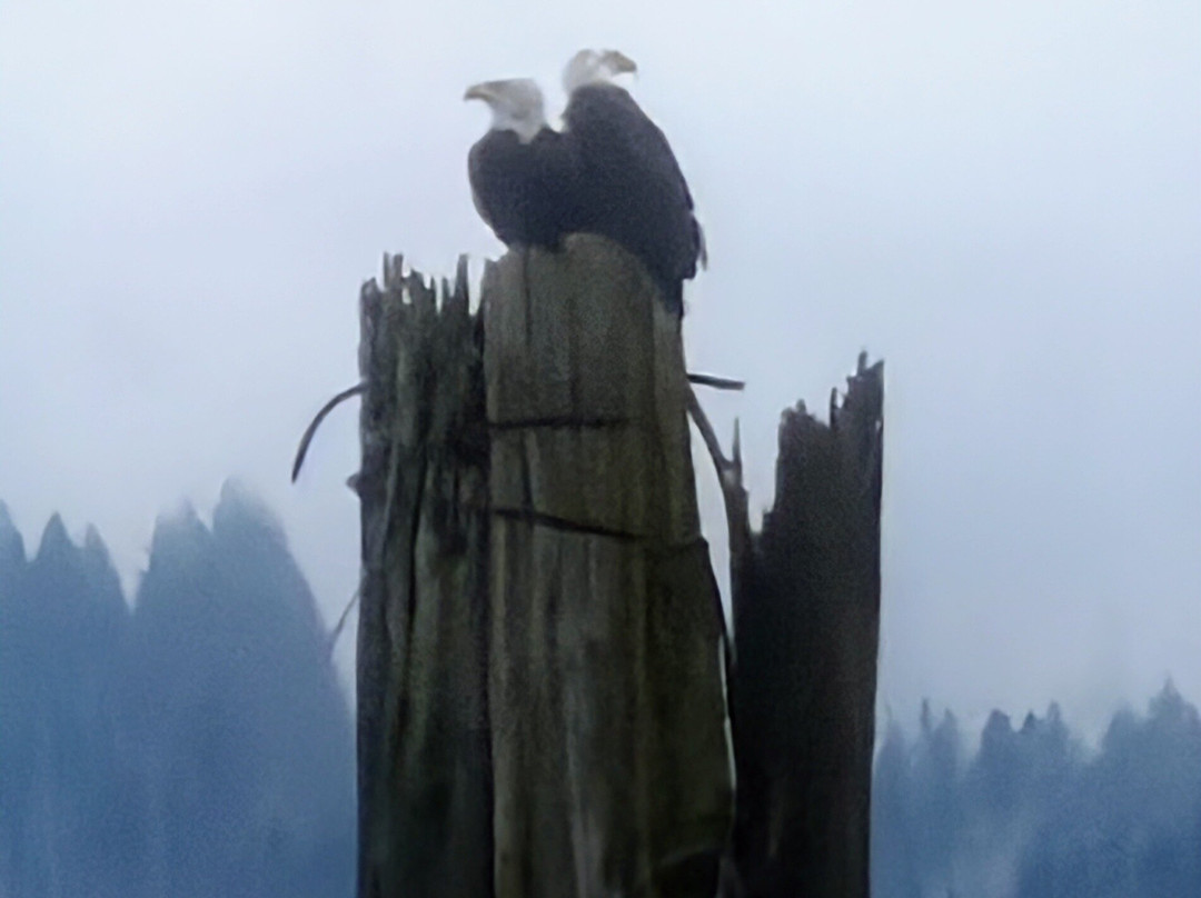 Harrison Eco Tours-哈里逊温泉必去景点