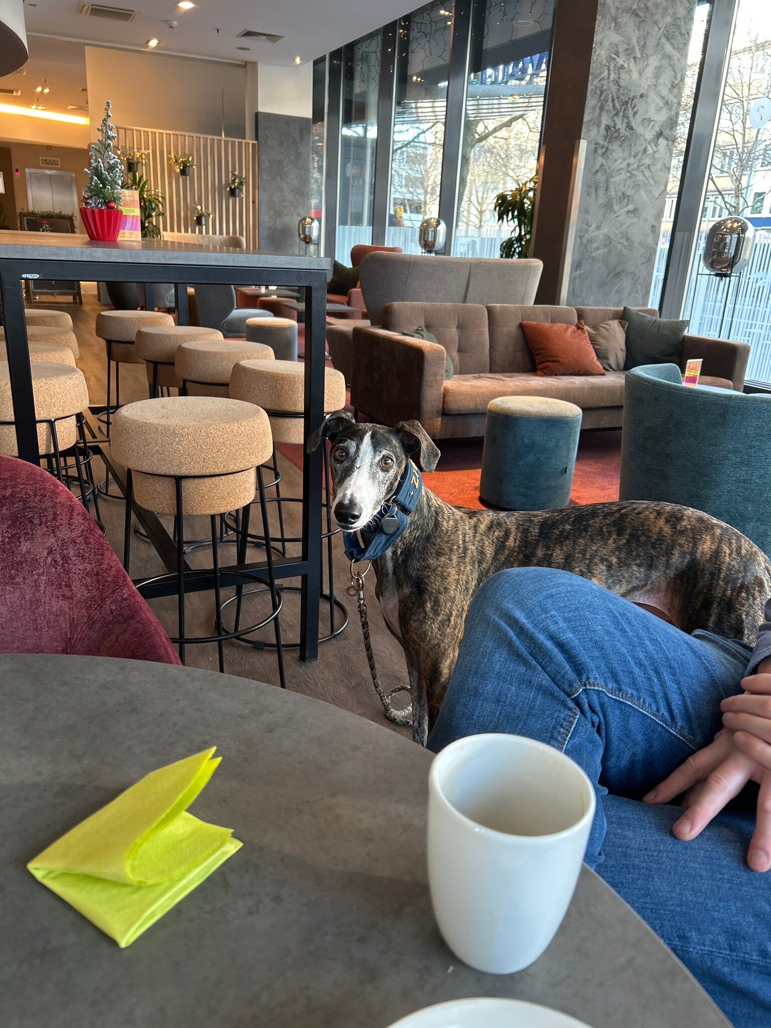 亚琛市诺富特酒店-官方