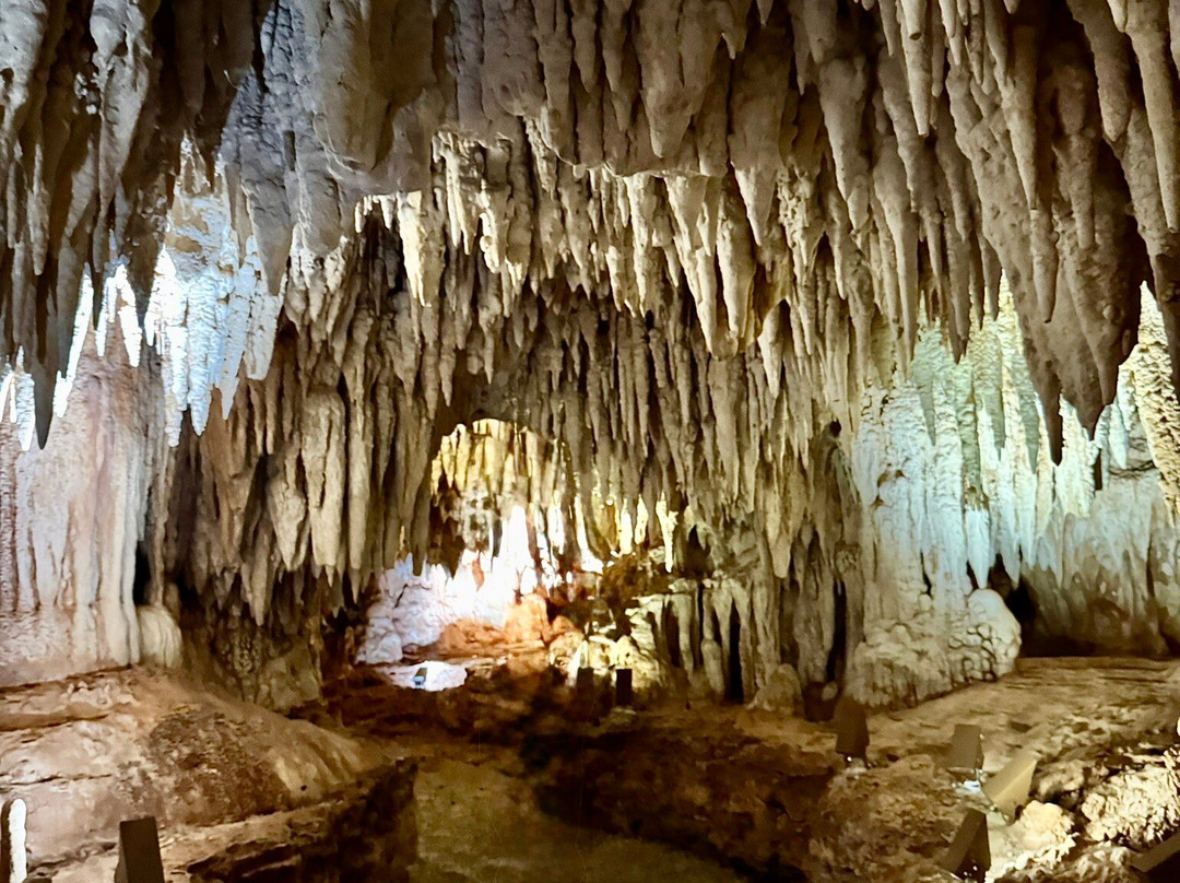 Cayman Crystal Caves-大开曼岛必去景点