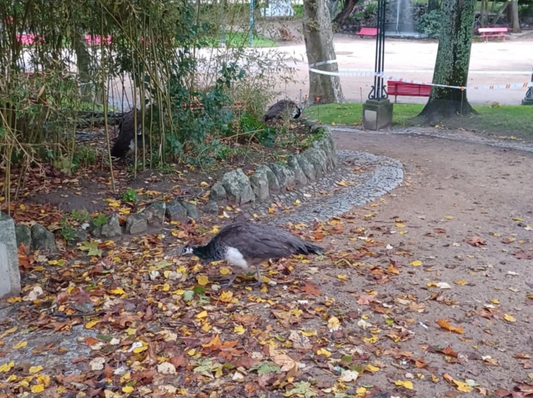 Évora Public Garden-埃武拉必去景点