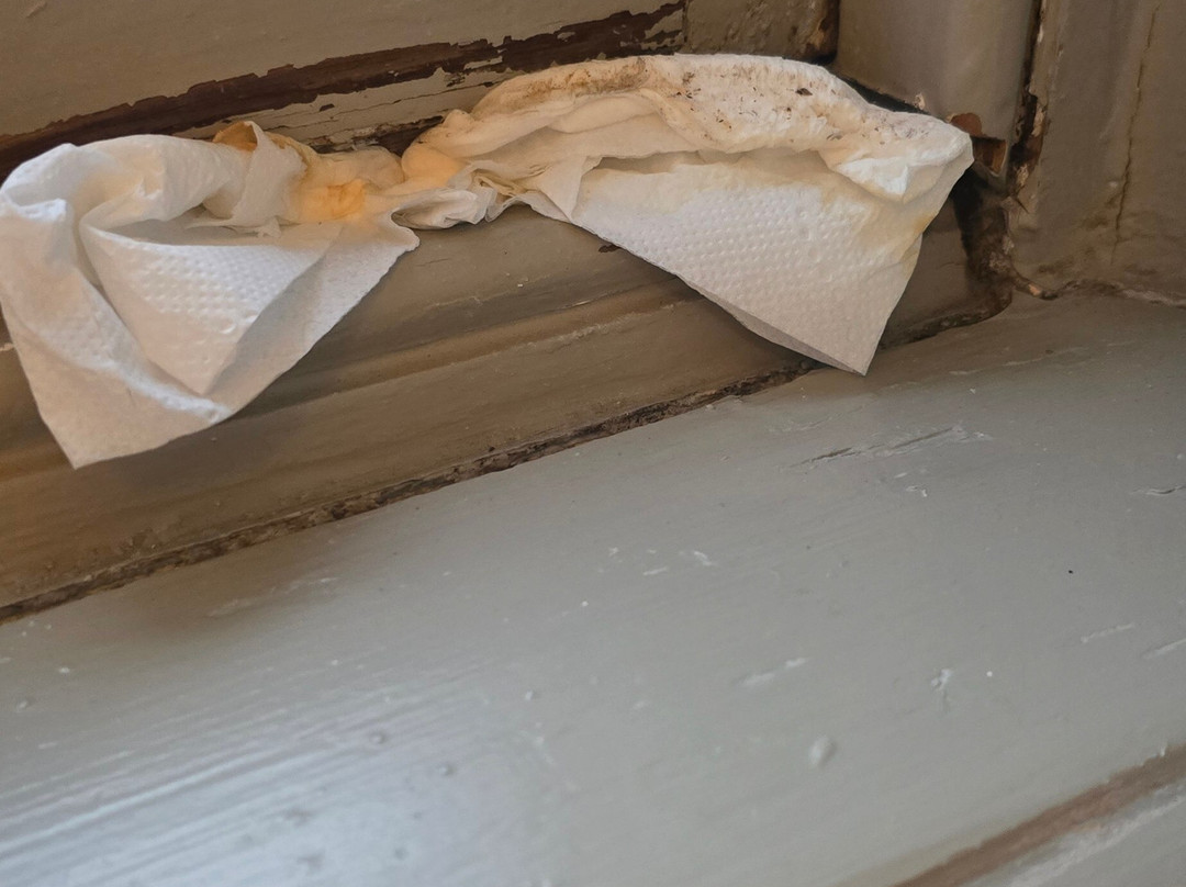 Riva Boutique Hotel主图