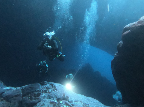 Diving Angel Tenerife-洛斯·吉甘特斯必去景点