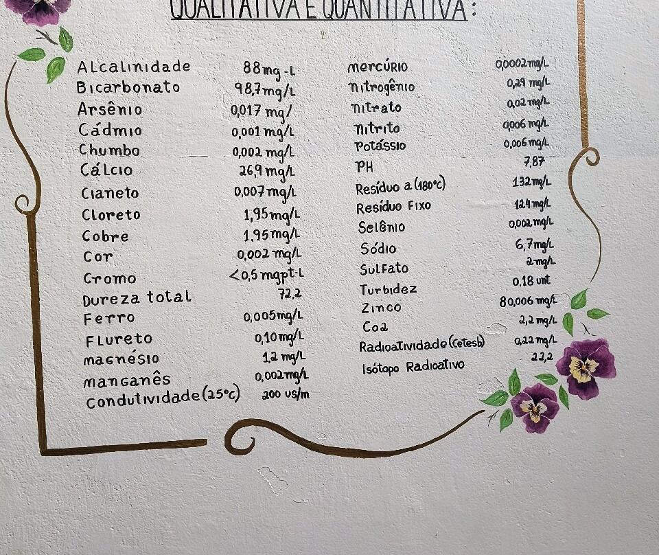 Balneário Mizael Marques Sobrinho-Aguas de Santa Barbara必去景点