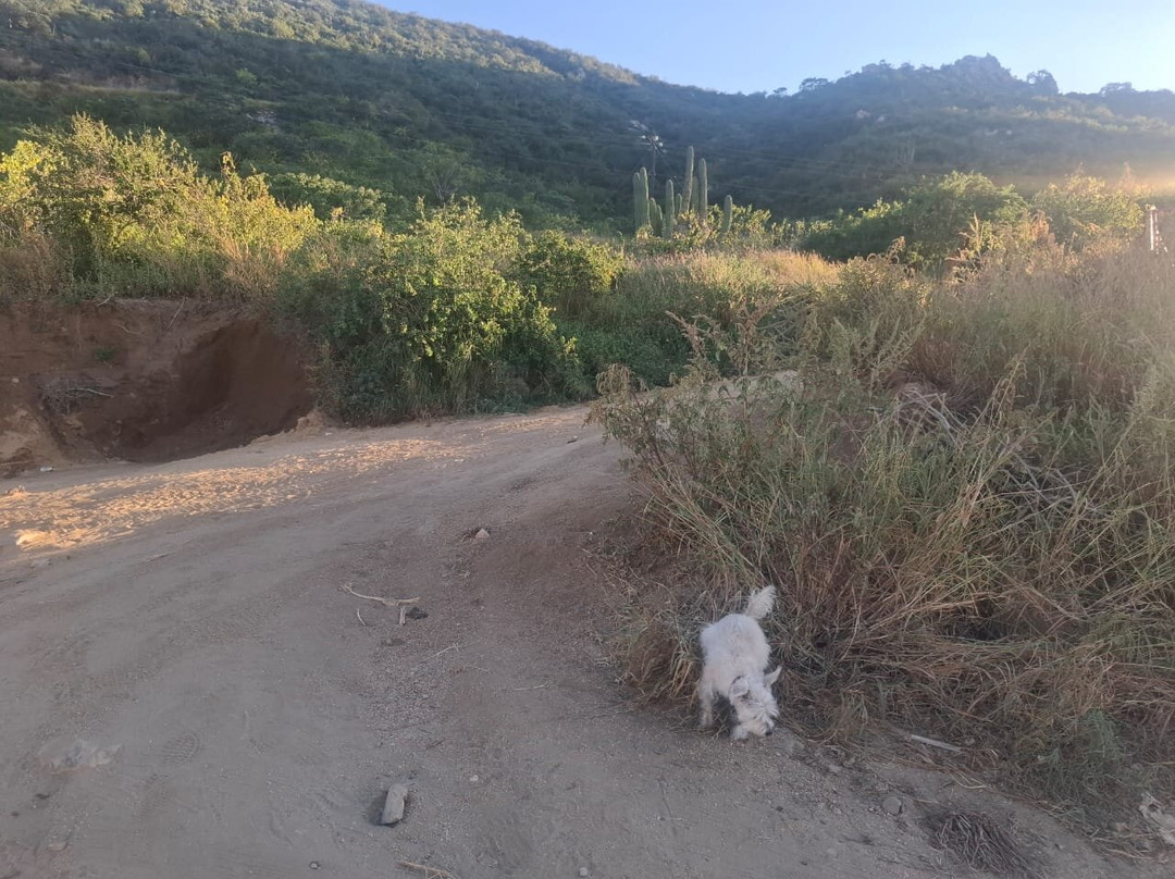 Cerro De La Z-卡波圣卢卡斯必去景点