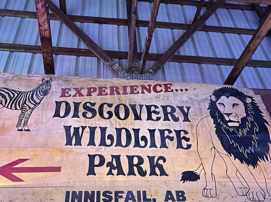 野生动物探索公园-因尼斯费尔必去景点