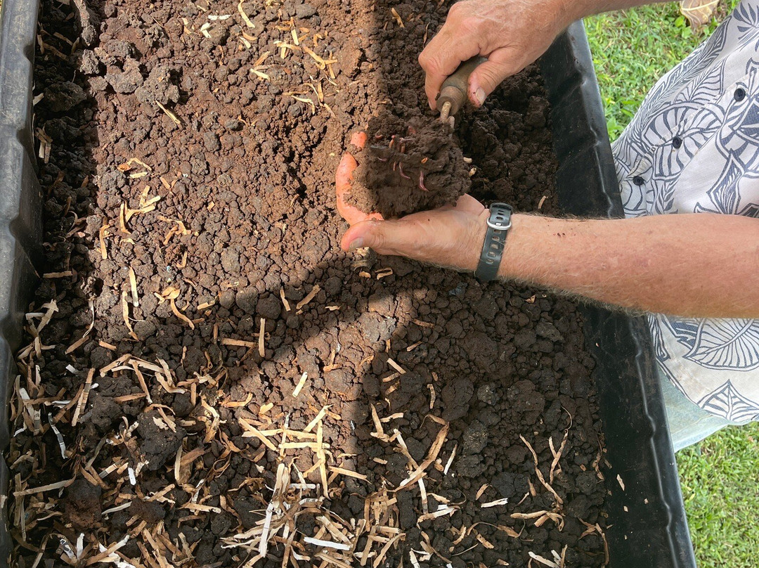 Hawaiian Organic Noni-基拉韦厄必去景点