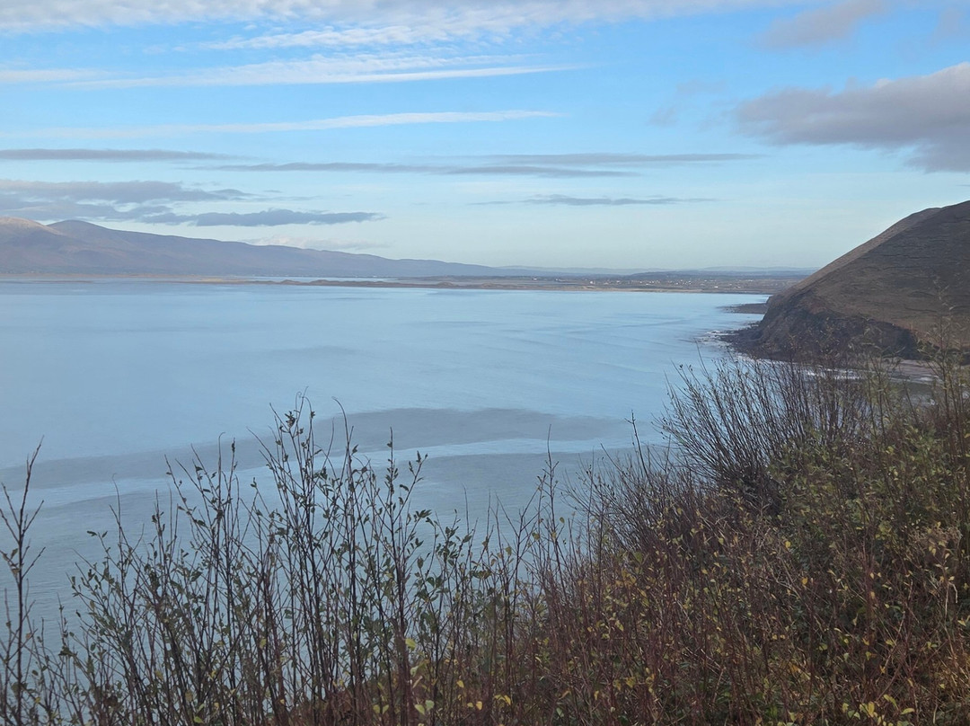 Love Irish Tours-都柏林必去景点