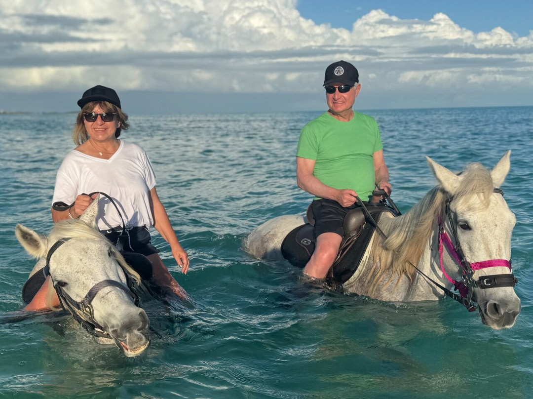 Provo Ponies-Long Bay Hills必去景点