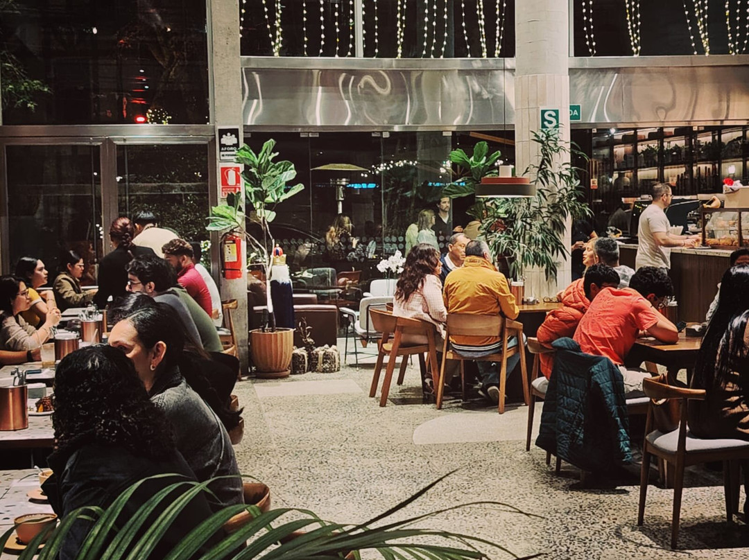 Café de Bosque San Isidro