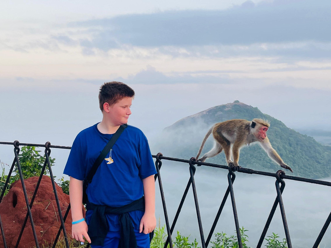 BH Lanka Tours-Kurunegala必去景点