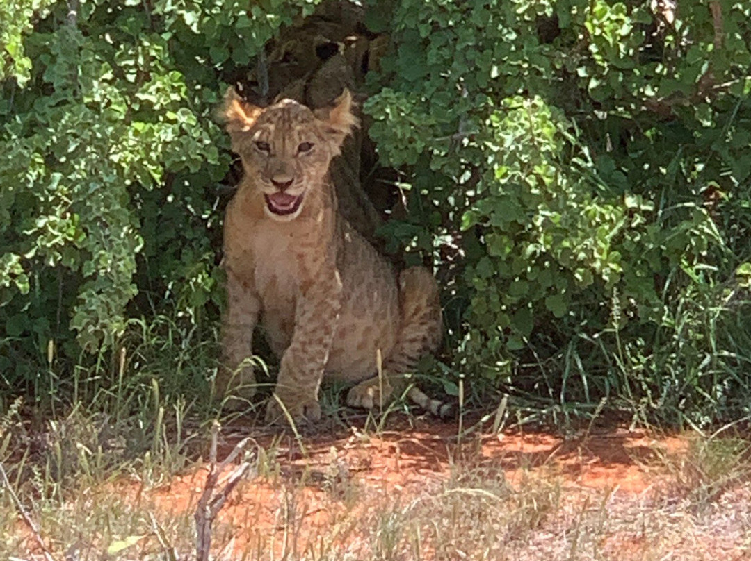 Escursioni in Kenya-瓦塔木必去景点