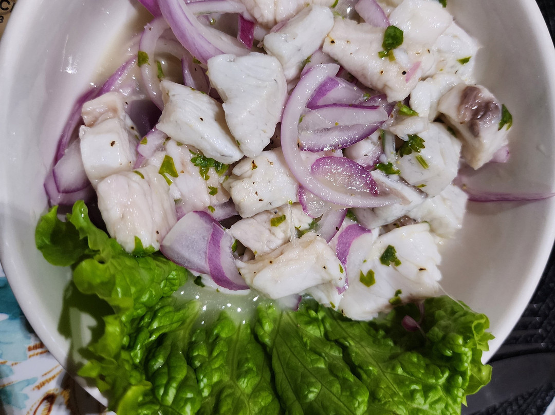 Catamaran Adventures San Blas-埃尔波韦尼尔必去景点