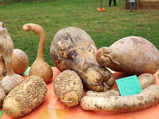 Il Villaggio della Zucca-Favria必去景点