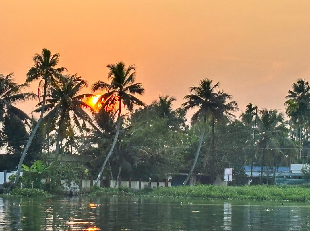 Green Palm Homes主图