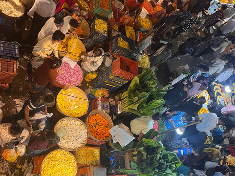 Frankly Mumbai Tours-孟买必去景点