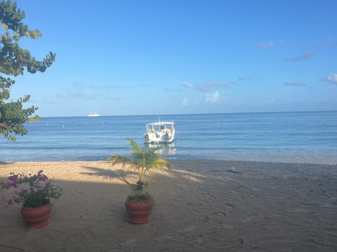 Dive Grenada-Grand Anse必去景点