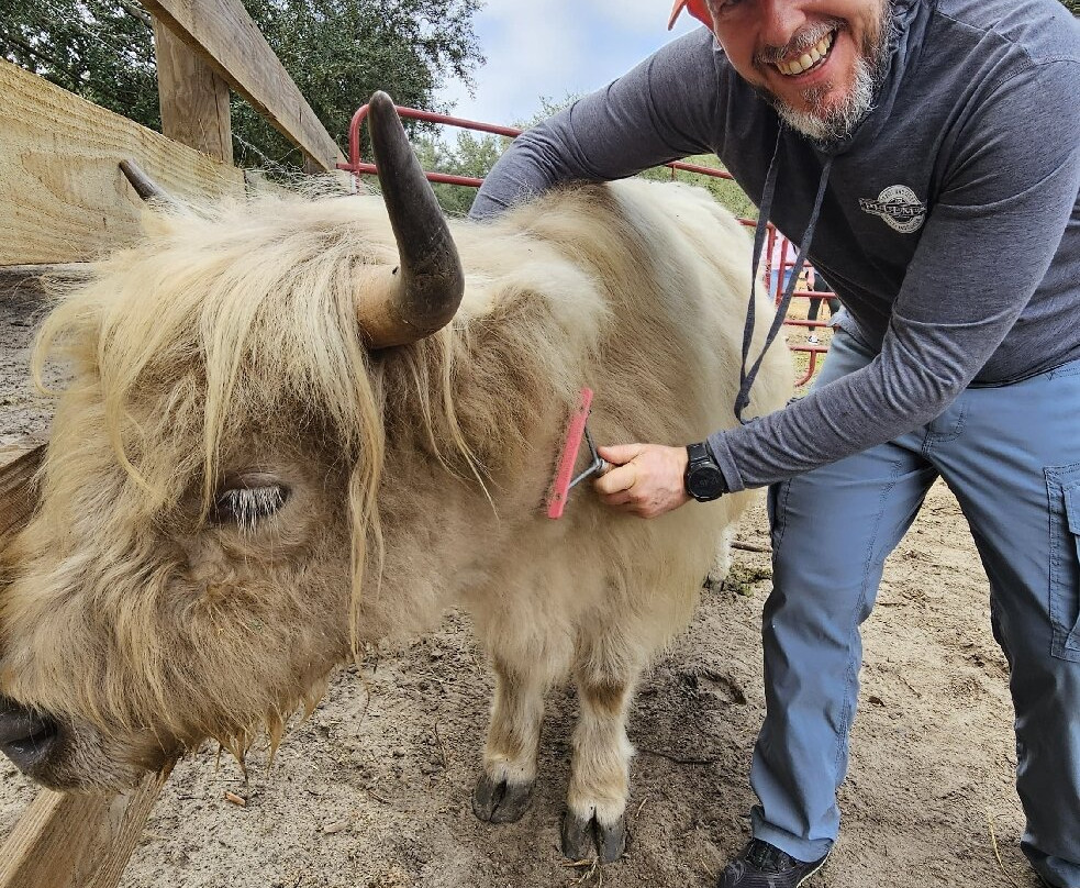Whispering Oaks Miniature Ranch-Clermont必去景点