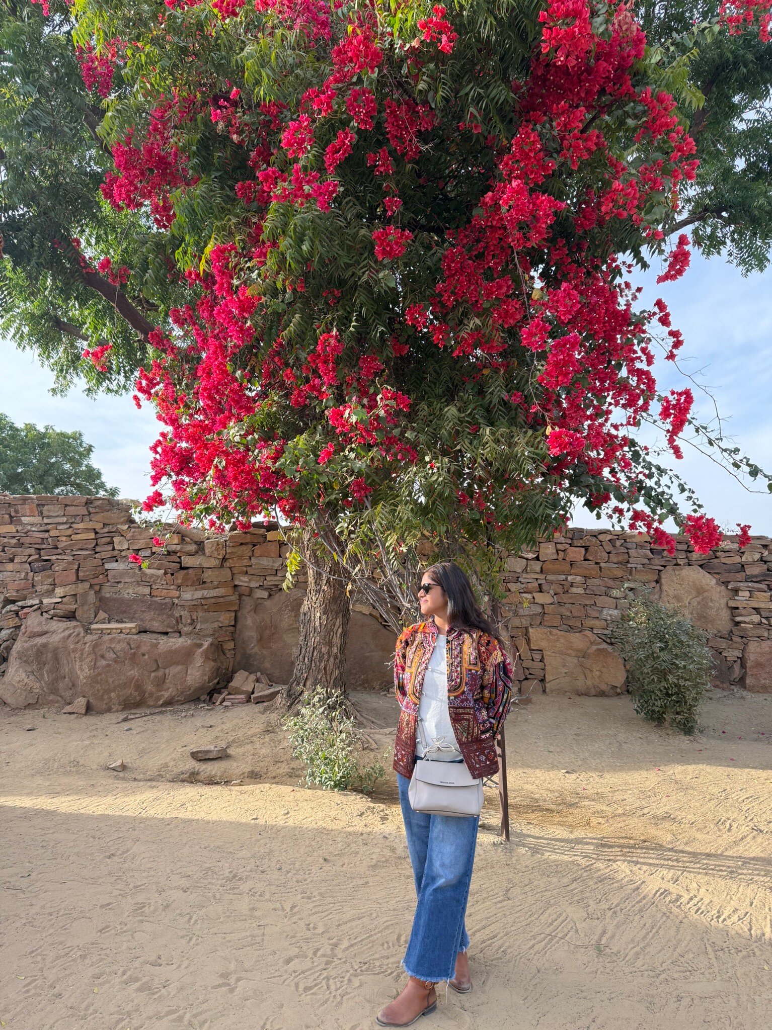 大摩达沙漠营地-官方