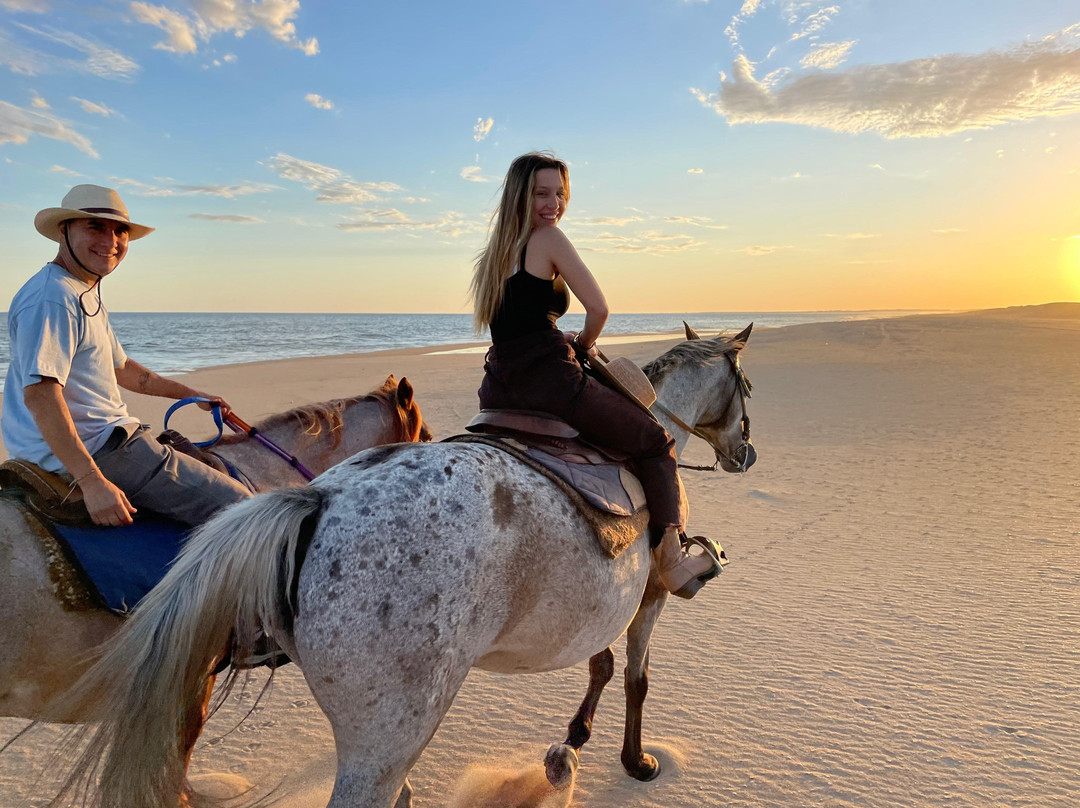 Eco Equus Cabalgatas-La Pedrera必去景点