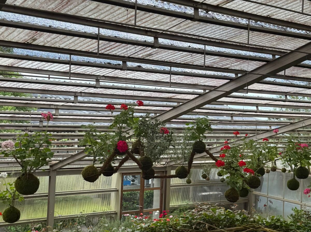 Rumah Atsiri Indonesia-Tawangmangu必去景点