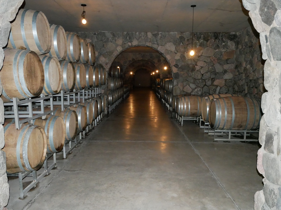 Viñas En Flor Bodega-卡法亚特必去景点