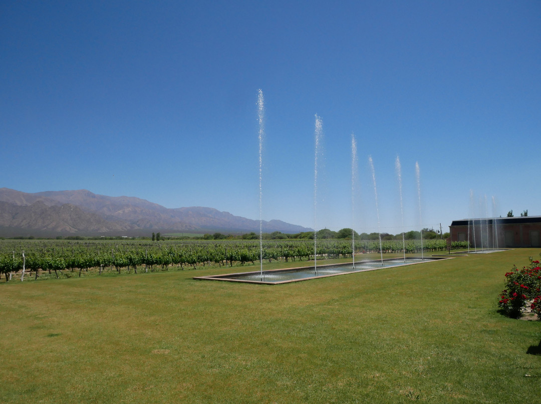 Viñas En Flor Bodega-卡法亚特必去景点