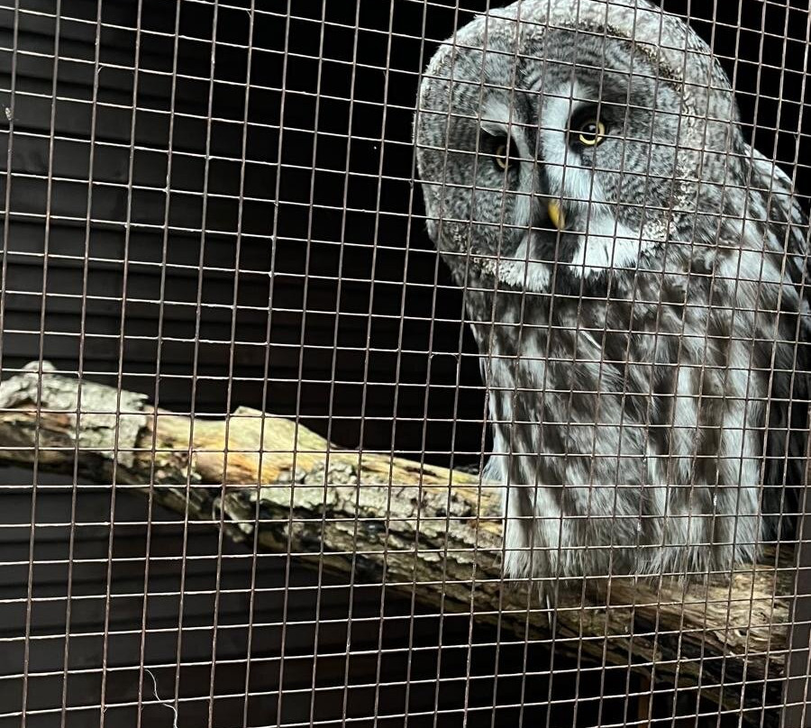 West Sussex Falconry-Compton必去景点