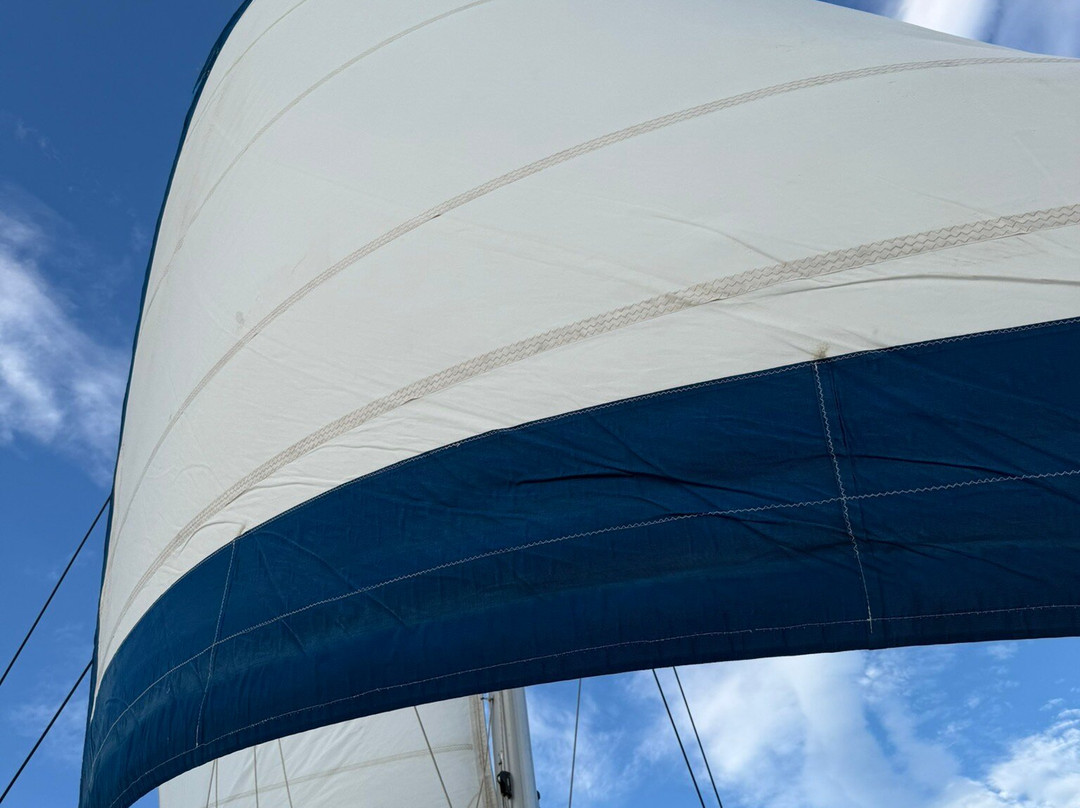 Panache Sailing-Playa Flamingo必去景点