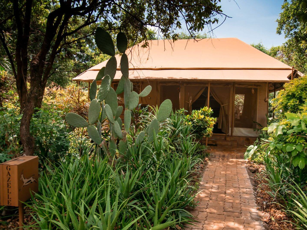 爱威塔野生动物园营地酒店主图