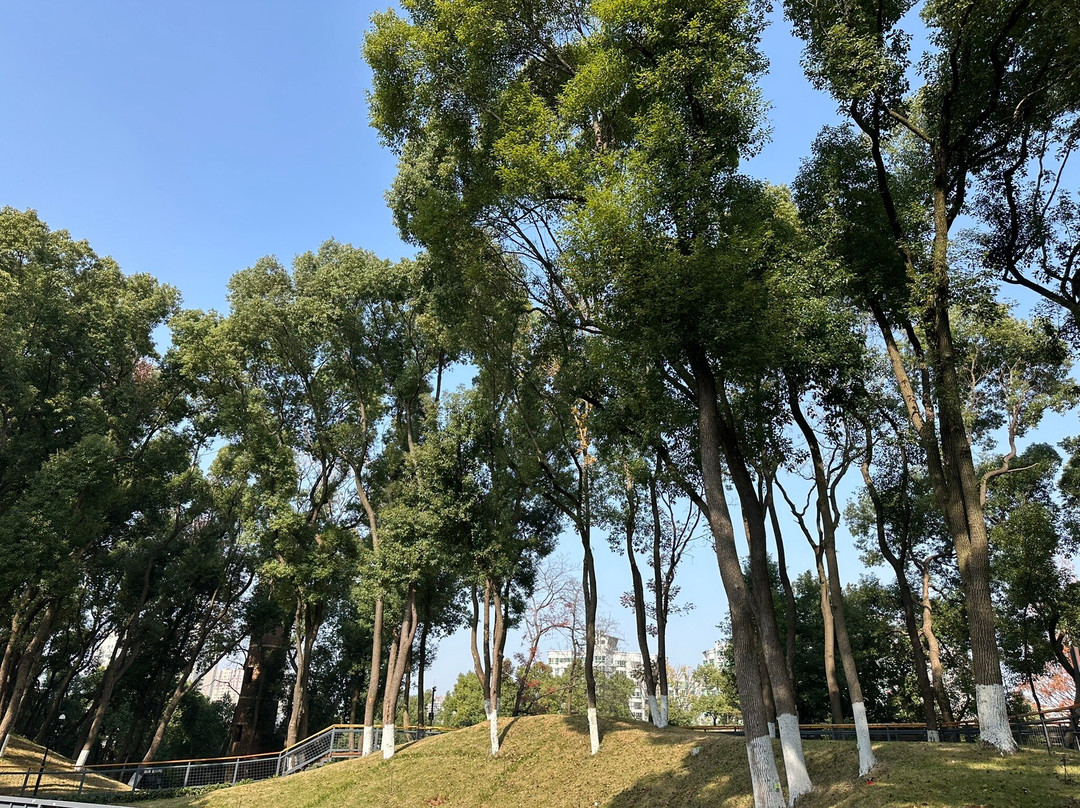 马王堆汉墓-长沙市必去景点