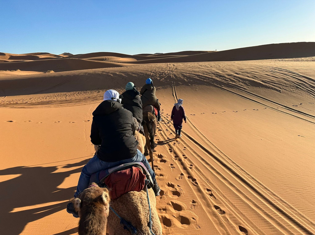Marrakech Camel Trips-非斯必去景点