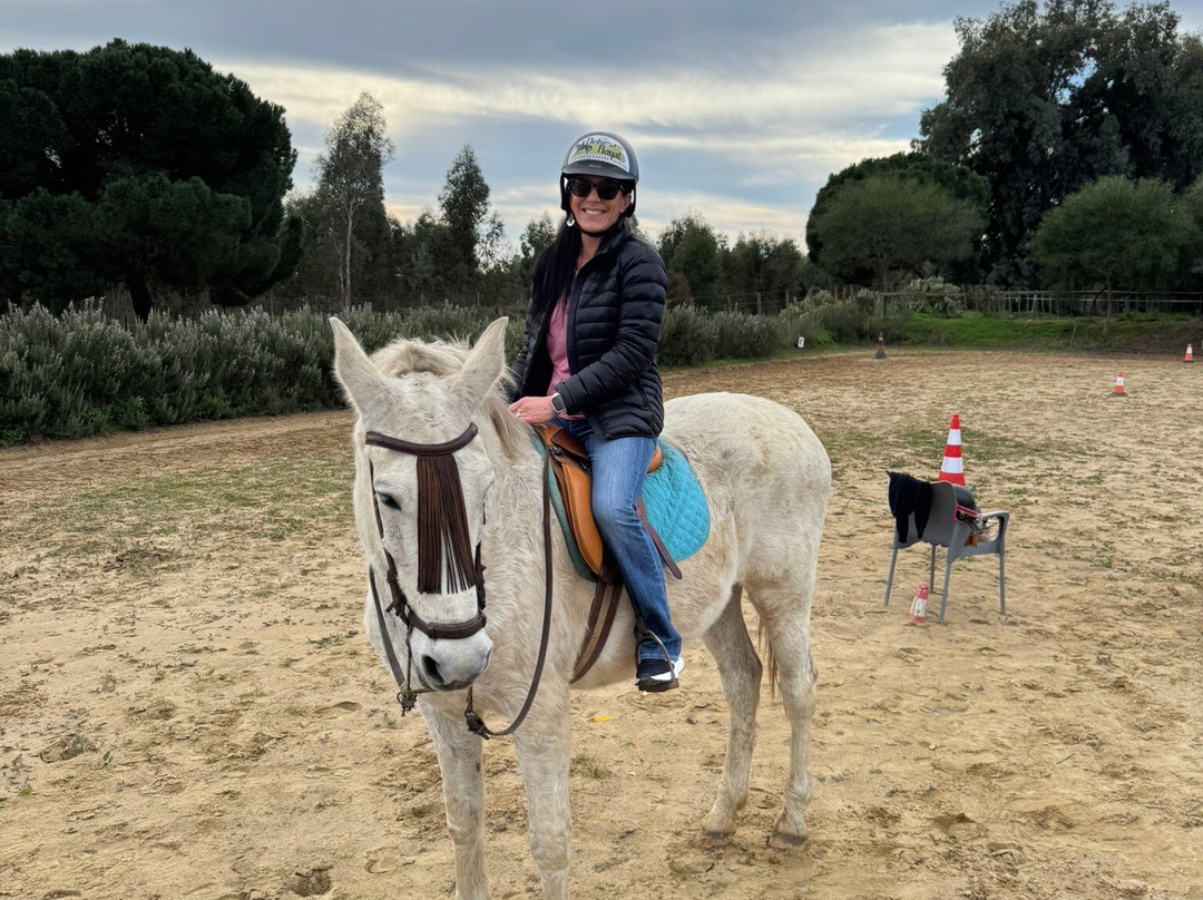 Dehesa Boyal-Villamanrique de la Condesa必去景点