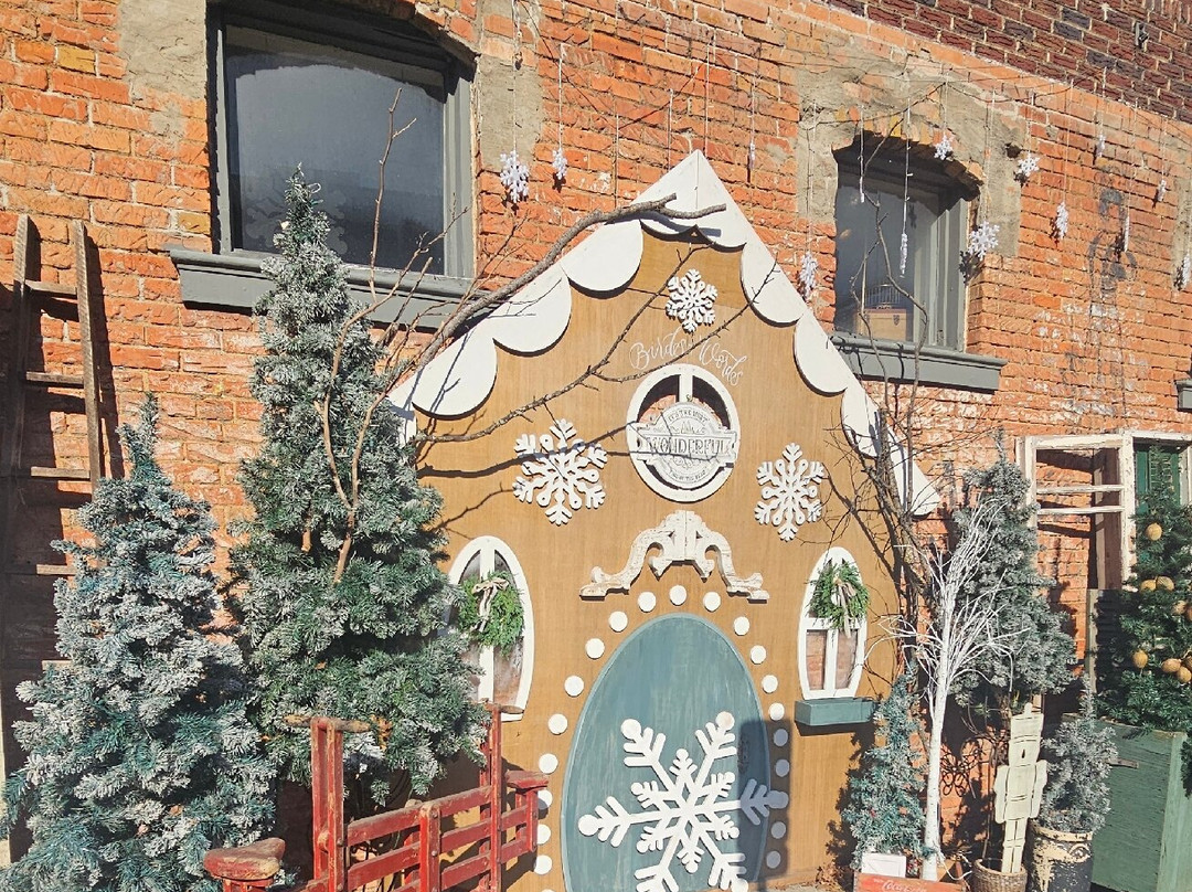 Historic Downtown McKinney-麦金尼必去景点