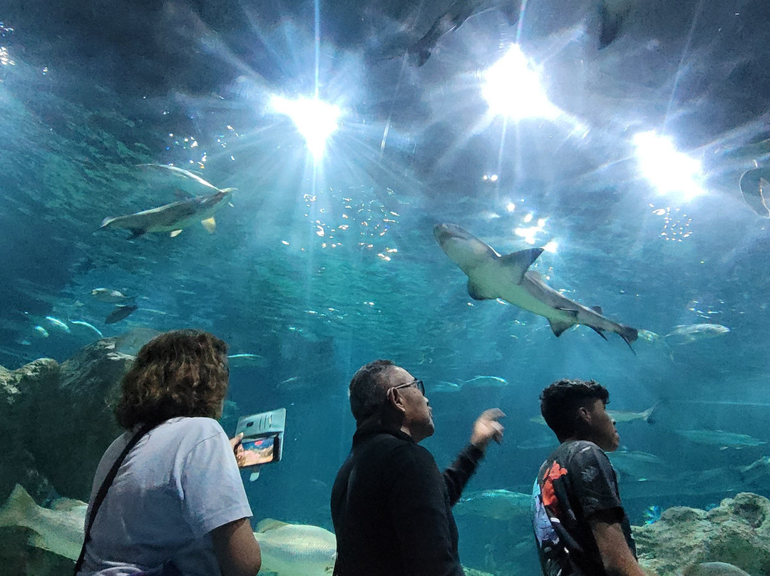Acuario Michin Guadalajara-瓜达拉哈拉必去景点