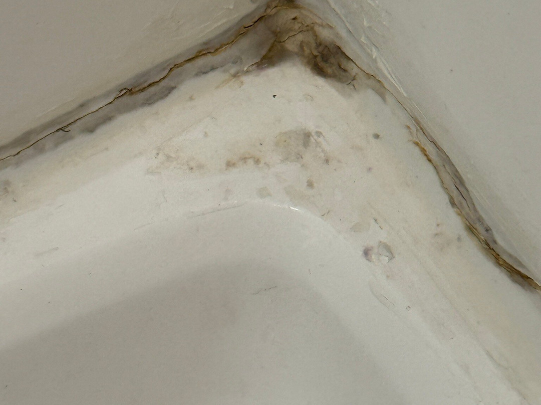 Hampton Inn & Suites Tyler-South主图