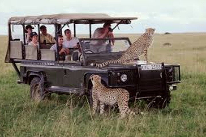 AVIAFRIQUE SAFARIS