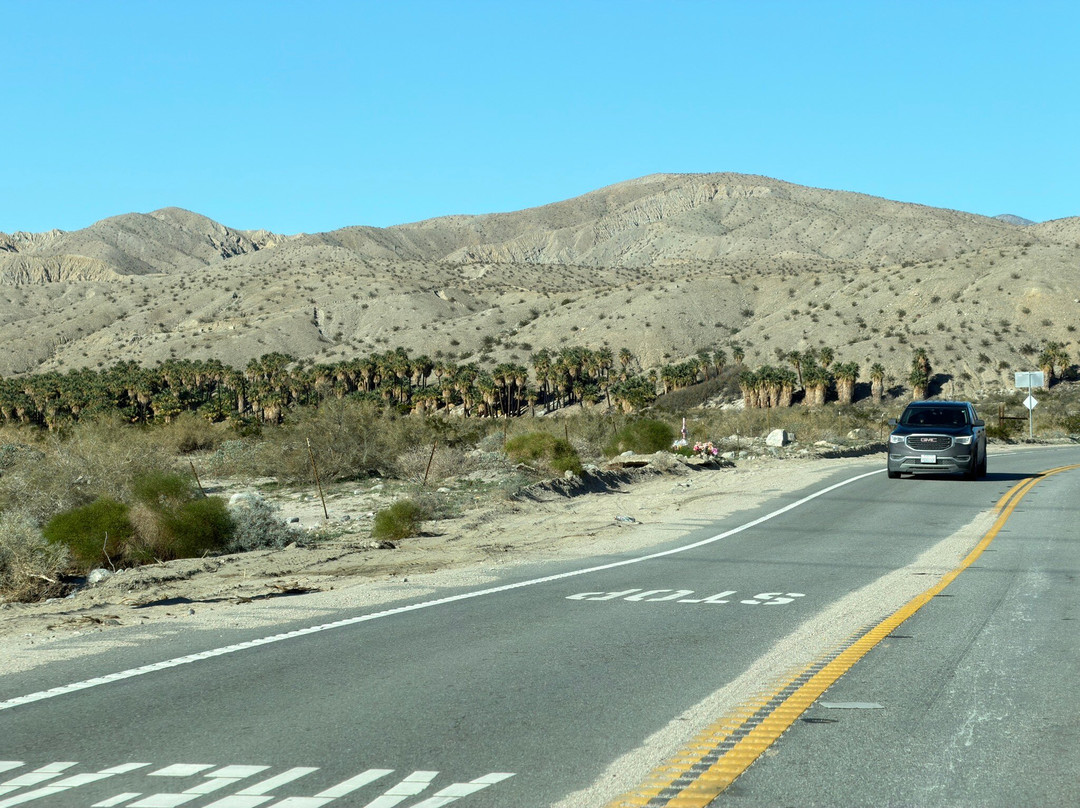 美国科切拉谷保护区-棕榈泉市必去景点