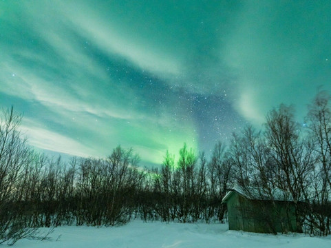 Northern Lights Chase in a small group with free photos.-特罗姆瑟必去景点