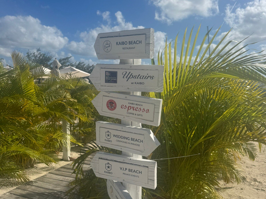 Joe Tourist Outdoor Adventures-乔治城必去景点