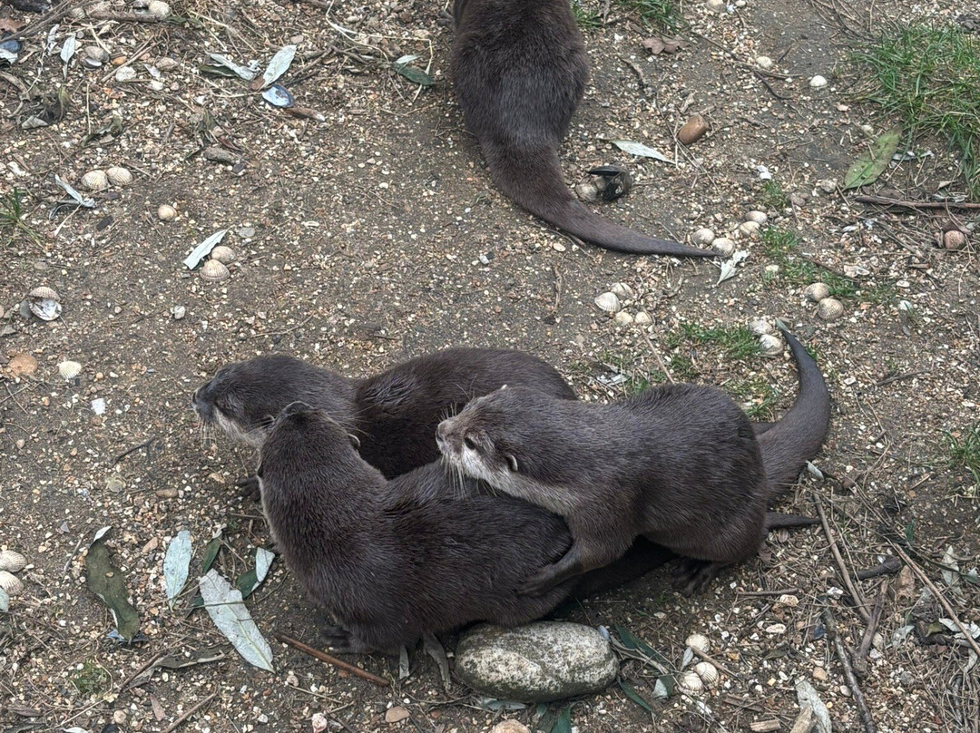 比尔公园-雷丁必去景点