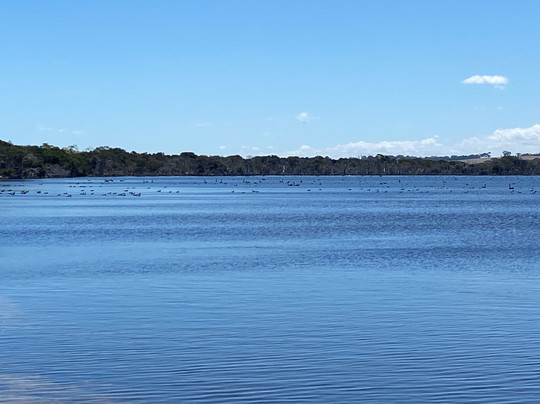 Kepwari Walk Trail-埃斯佩兰斯必去景点