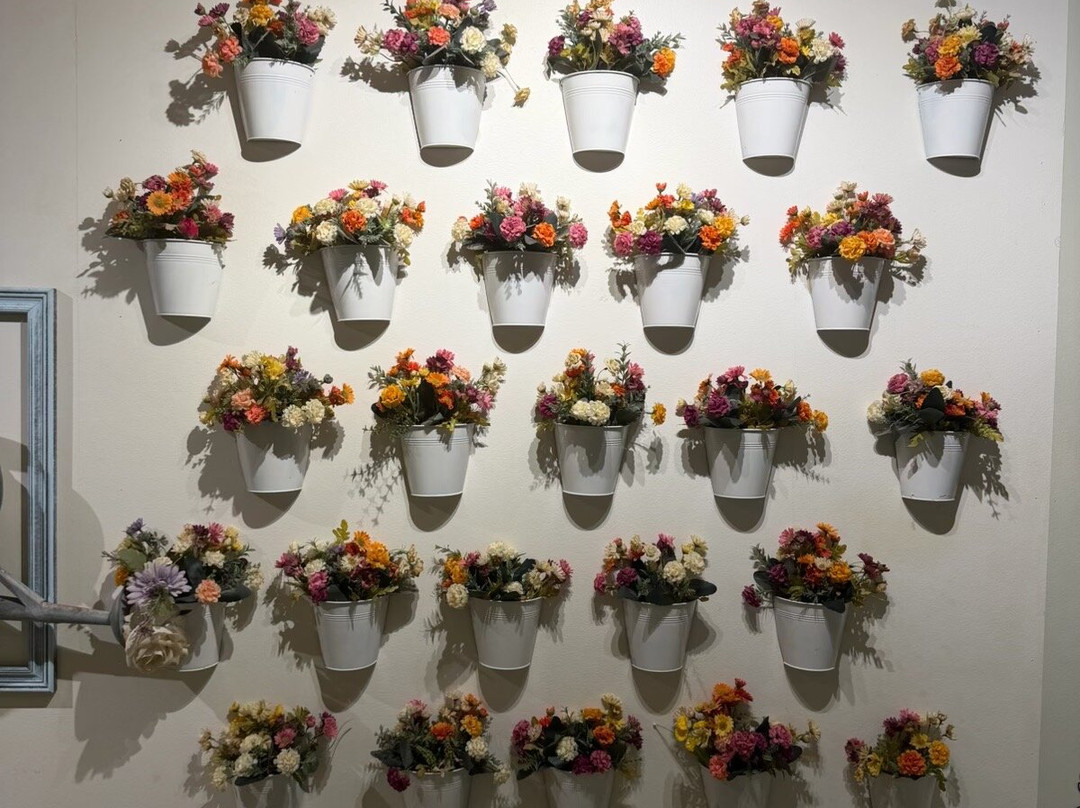 Aruba Aloe Factory, Museum and Store-阿鲁巴岛必去景点