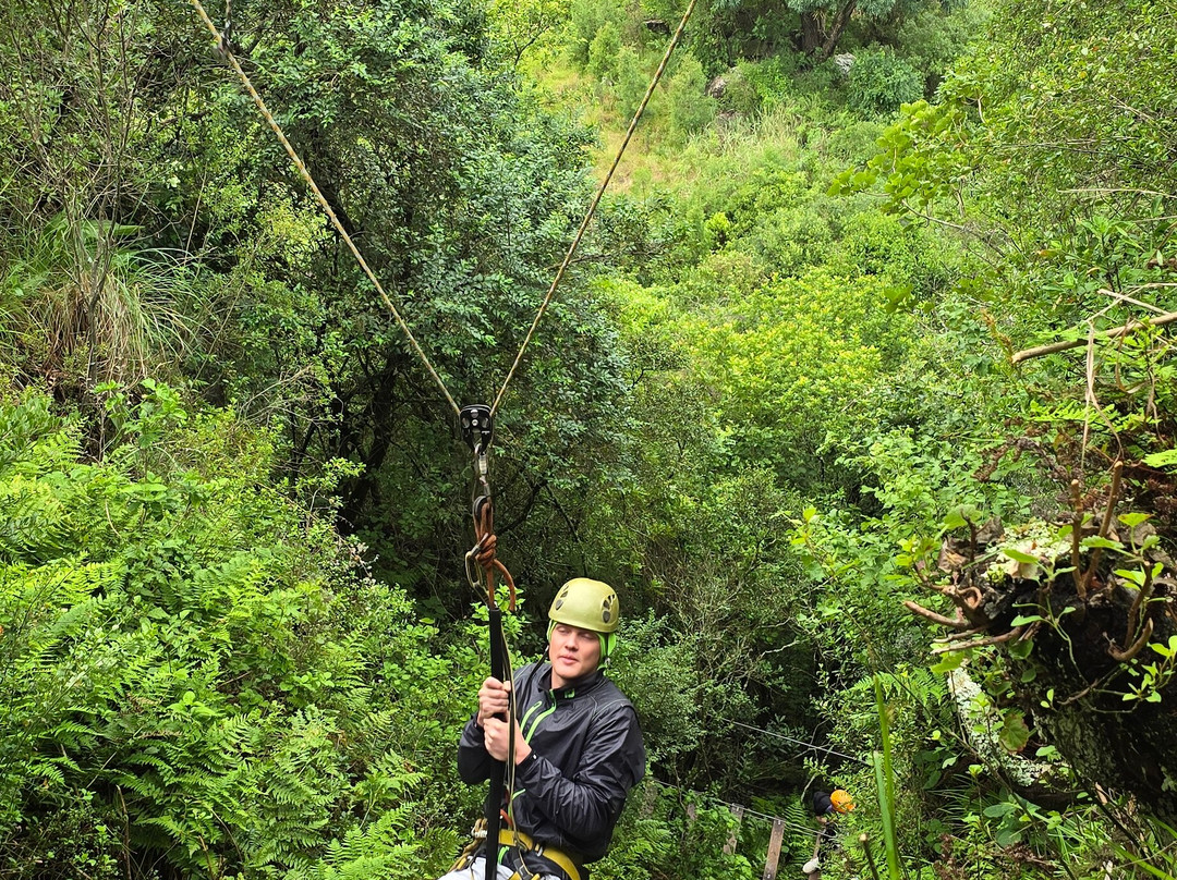 Vertical Rush-Cathkin Park必去景点