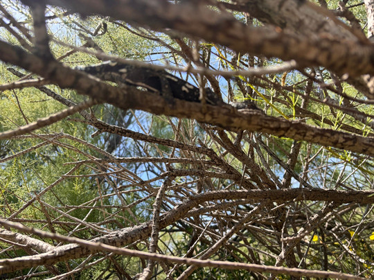 Għadira Nature Reserve-梅雷赫必去景点