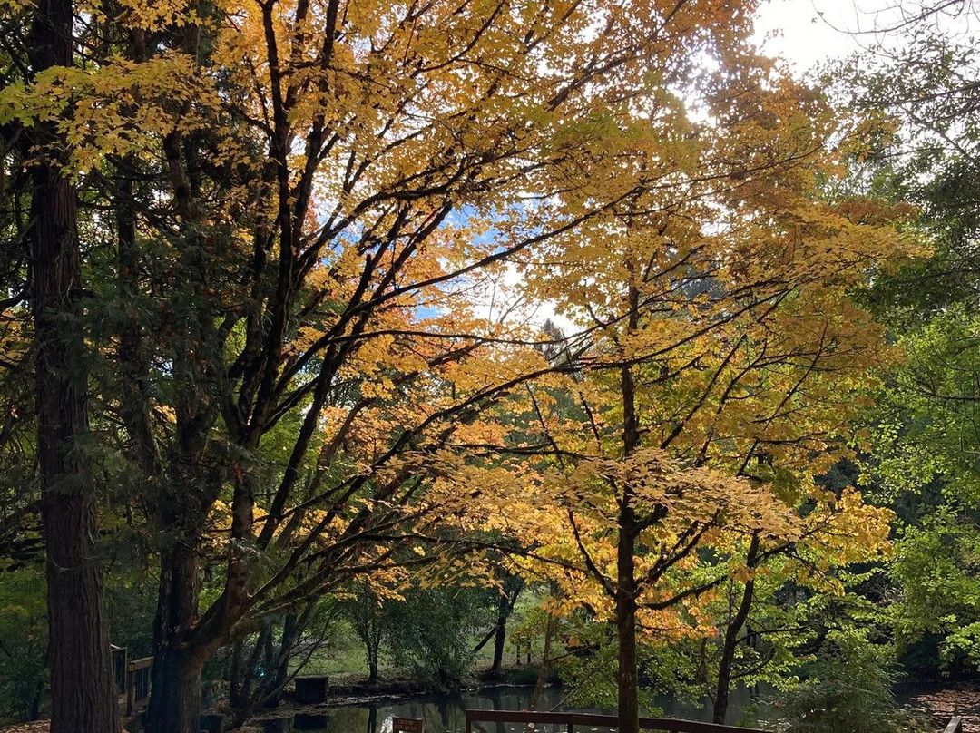 Peavy Arboretum-科瓦利斯必去景点