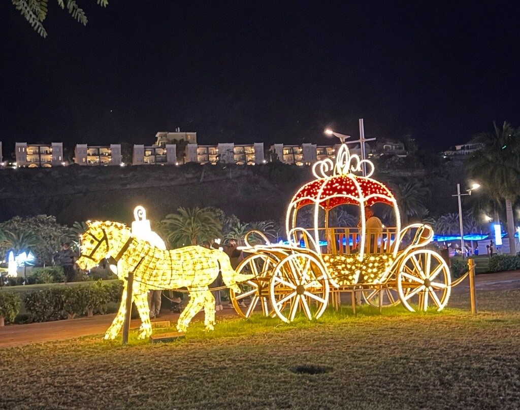 Parque Urbano del Sur-马斯帕洛马斯必去景点