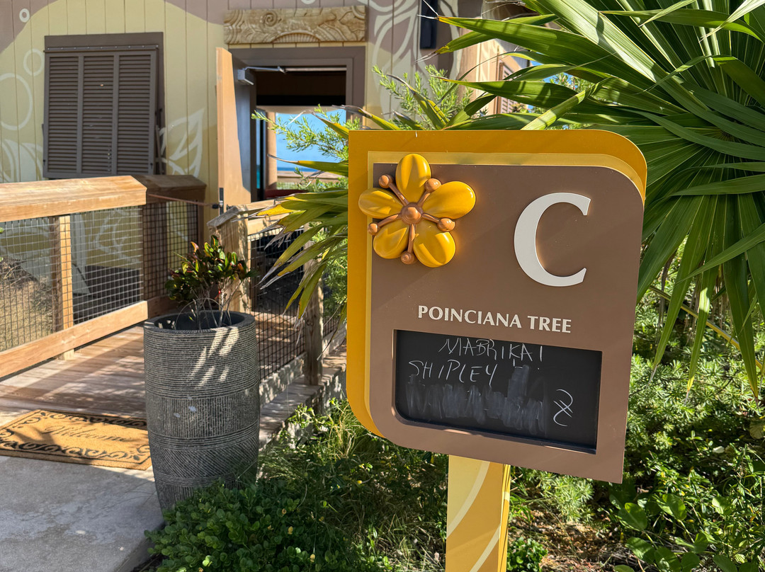 Lighthouse Beach-伊柳塞拉必去景点