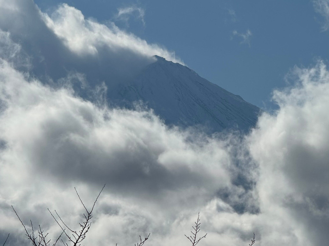 Herb Garden Tabinikki Fujikawaguchiko Garden-富士河口湖町必去景点